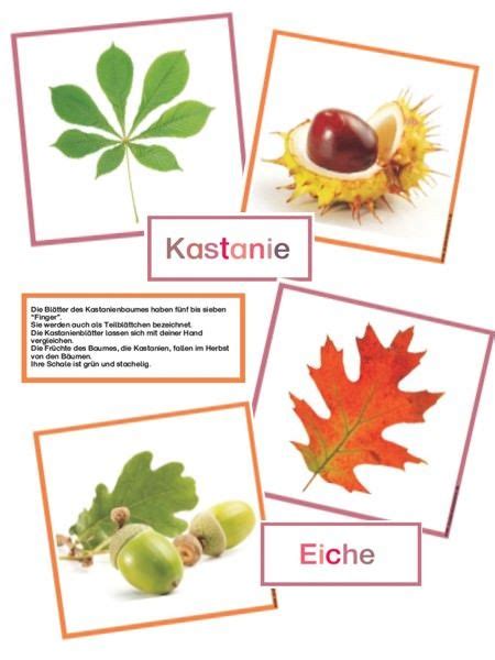 material fuer die freiarbeit eine herbstwerkstatt