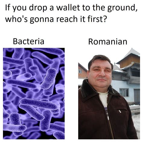 drop  wallet whos gonna reach   romanians stealing