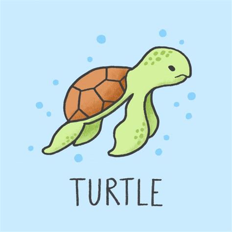 premium vector cute turtle cartoon hand drawn style tartarugas