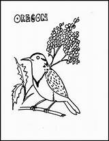 Okc Meadowlark sketch template