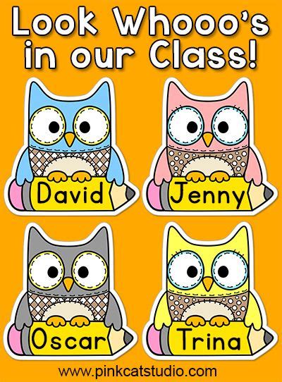 owl theme  tags locker labels editable classroom decor owl