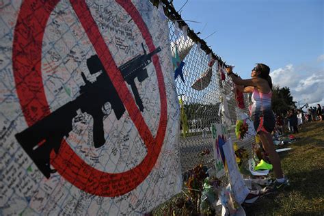 Gun Violence Research Gets Little Support So States Step In The