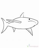 Sharks Rekin Kolorowanki Dzieci Rekiny Bestcoloringpagesforkids Sharknado Hibiscus Druku Pobrania sketch template