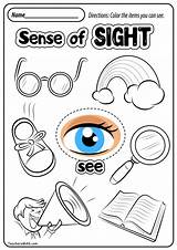 Senses Worksheet Worksheets Teachersmag Seeing Desalas sketch template