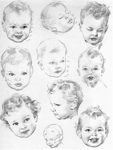 draw baby  toddlers heads   correct proportions