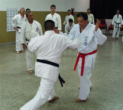 karate do héctor gonzalez ceballos seminario de karate do y kobudo en