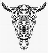 Longhorn Getdrawings Longhorns Texas Cow Kindpng Vhv Netclipart sketch template