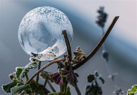 gefrorene seifenblase foto bild eis kugel frost bilder auf