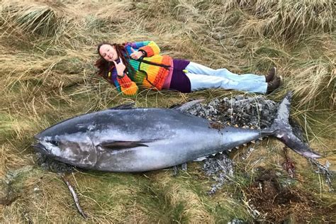 giant atlantic bluefin tuna washes   beach  scotland