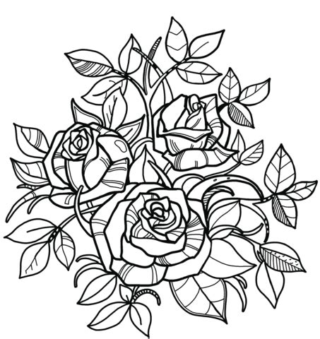 roses coloring page  printable coloring pages