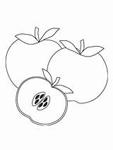Coloring Apples Printable Onlinecoloringpages Top Pages sketch template