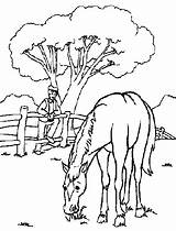 Eating Horse Grass Horses Clipart Coloring Pages Clipground sketch template