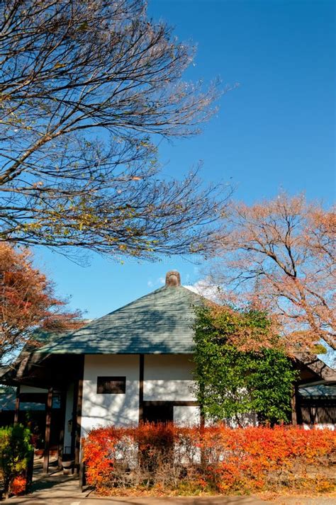 house  bonsai village omiya saitama japan editorial stock image image  east house