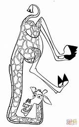 Madagascar Coloring Pages Melman Giraffe Printable Gloria Alex Cartoons Drawing Marty Silhouettes Categories Comments Hippopotamus sketch template