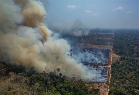amazon rainforest   fire climate scientists fear  tipping point   los angeles