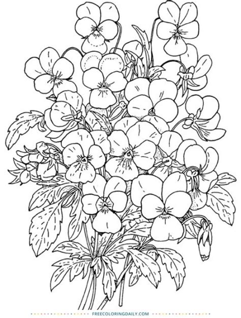 floral coloring page  coloring daily