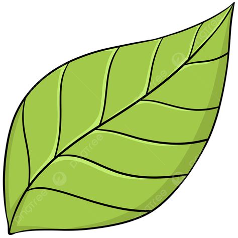 simple leaf leaf leaf clipart simple png transparent clipart image
