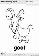 Coloring Goat Pages Super Farm Animal Worksheets Simple Animals Learning Kids Flashcard Flash Book Songs Choose Board Printables Supersimple sketch template