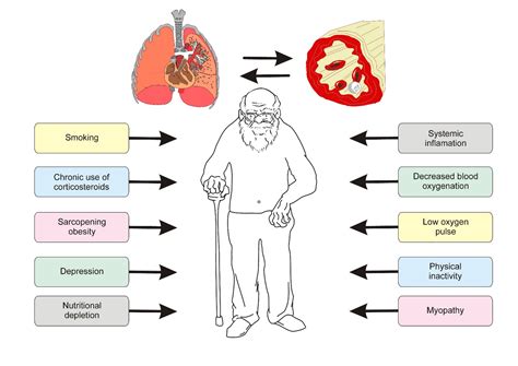 Handgrip Strength And Pulmonary Disease In The Elderly What Is The Link