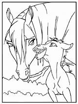 Paard Veulen Paarden Kleurplaten Pferde Malvorlage Kleuren Ausmalbild Kleurplaatjes sketch template