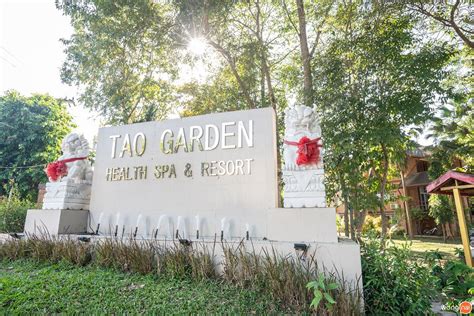 tao garden health spa resort doy saket otzyvy foto  sravnenie
