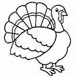 Coloring Thanksgiving Turkeys Dinde Pavo Clipartmag Dibujos Step Webstockreview Coloriages sketch template