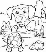 Honden Hond Dieren Puppy Hondjes Huisdieren Puppies Kat Kids Uitprinten Kleur Moeilijke Terborg600 Platen 2098 2394 Moeilijk Downloaden Vlooien Malvorlagen sketch template