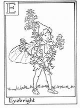 Coloring Pages Flower Alphabet Fairy Fairies Printable Letter Kids Numbers Choose Board Letters Coloringtop sketch template