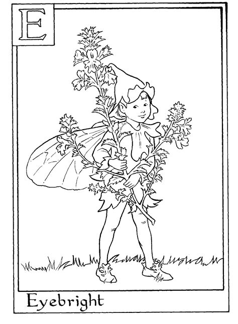 alphabet flower coloring page   print   coloring home