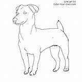 Jack Russell Terrier Coloring Dog Pages Color Standing Drawing Line Own Colouring Drawings Terriers Dogs Russells Pencil Stand Index Choose sketch template