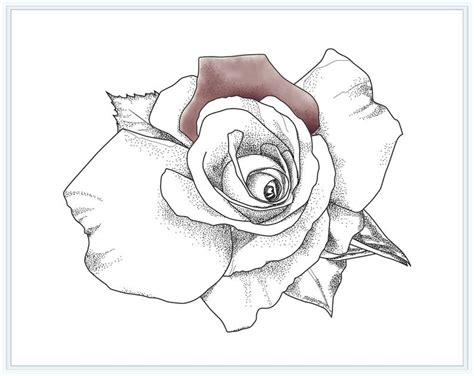 rose coloring page printable flower adult colouring page  etsy