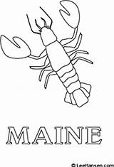Lobster Maine Coloring Poster Pages sketch template