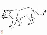 Pumas sketch template
