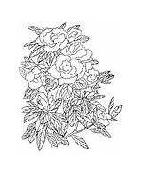 Flowers Coloring Pages sketch template