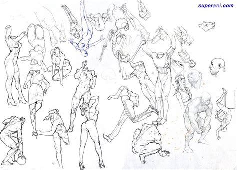 Bodies Without Heads Kimjunggi Anatomy Sketches