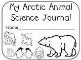 Arctic Coloringhome sketch template