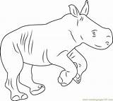 Rhino Rhinoceros Coloringpages101 sketch template