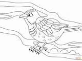Sparrow sketch template