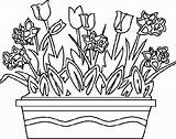 Flower Spring Coloring Colouring Pages sketch template