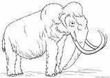 Mammoth Woolly Coloring Pages Draw Drawing Sheet Wooly Printable Clipart Mamoth Supercoloring Animal Pencil Kids Tutorials Step Clipground Choose Board sketch template