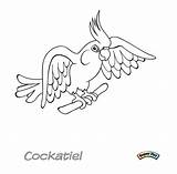 Cockatiel Unclebills sketch template