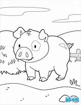 Cerdo Coloriage Pig Cochon Colorier Souriant Douce Hellokids Sonriente Vache Tablette Ferme Granja Coloriages Imprimer Línea Imprimir sketch template
