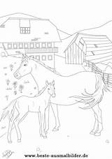Ausmalbilder Pferd Bauernhof Pferde Malvorlagen Ausmalen Ausmalbild Ausdrucken Ostwind Zeichnen sketch template