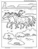 Coloring Pages Wild Horse Horses Printable Mammals Kids Animals Color Animal Print Educational Usd Books Kleurplaten Getcolorings Popular sketch template