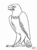 Eagle Coloring Bald Pages Color sketch template