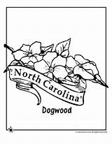 Coloring Flower Carolina North State Pages Tattoo South Jr Activities Dogwood Kids Woojr Colouring Flowers sketch template