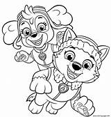 Everest Skye Mighty Printable Pups Chiots Joyeux Colouring Patrouille sketch template