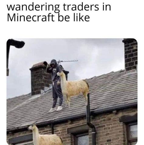 70 dank minecraft memes that only fans can relate to inspirationfeed