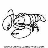 Langosta Aragosta Lobster Clawed Crustacean Página Ultracoloringpages sketch template
