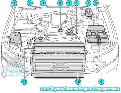 toyota tacoma engine compartment parts diagram tr fe